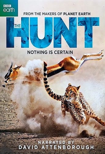 The Hunt