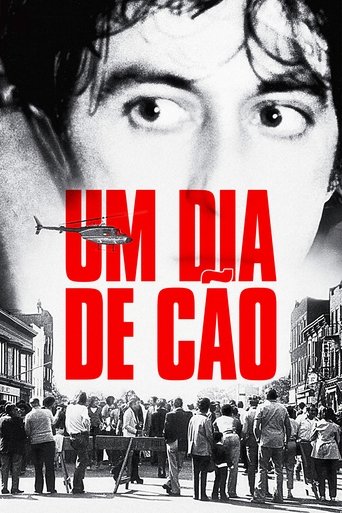 Um Dia de Cão