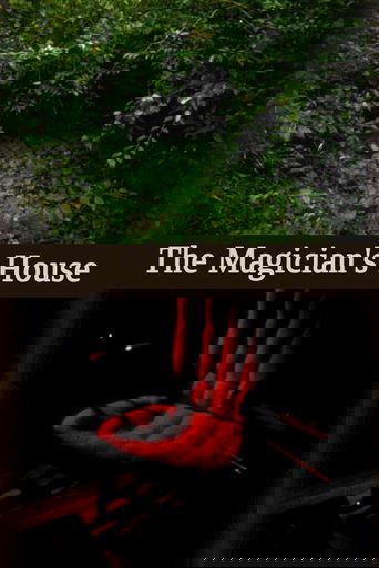 The Magician's House