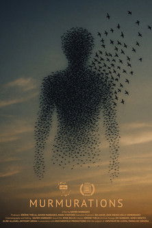 Murmurations