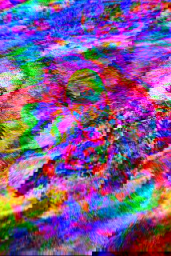 Rainbow Road