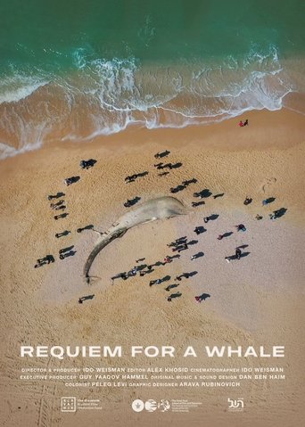 Requiem for a Whale