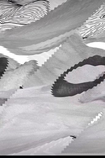 Meshes