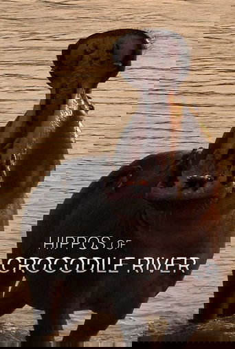 Hippos of Crocodile River