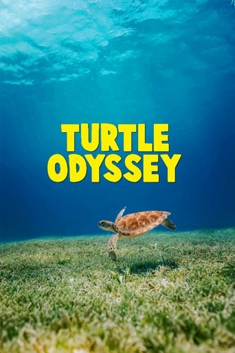 Image du film Turtle Odyssey