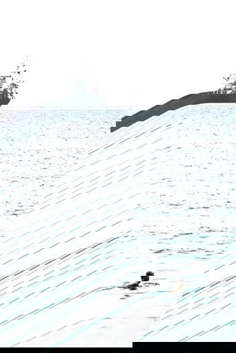 The Boundaries