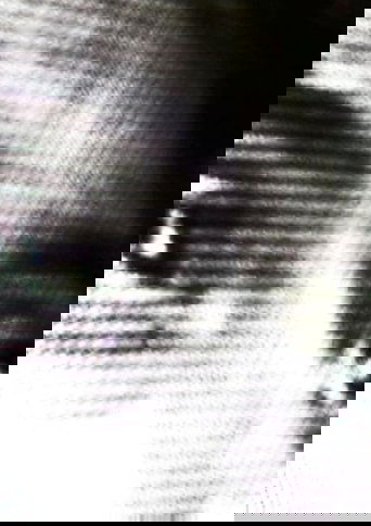 Transcommunication