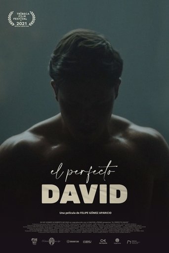 Image El perfecto David | The Perfect David (2021)