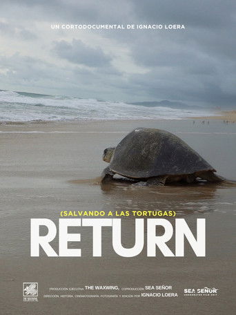 Return: Salvando a las Tortugas
