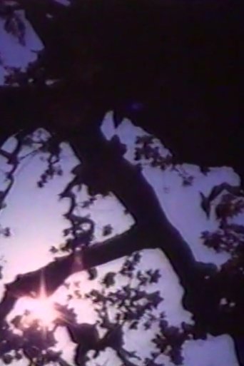 Light Point