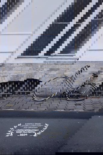 The Lost Bicycle of Ghent