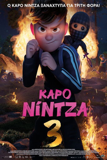 Καρό Νίντζα 3