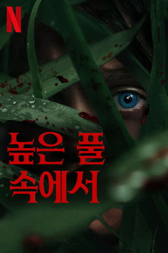 높은 풀 속에서