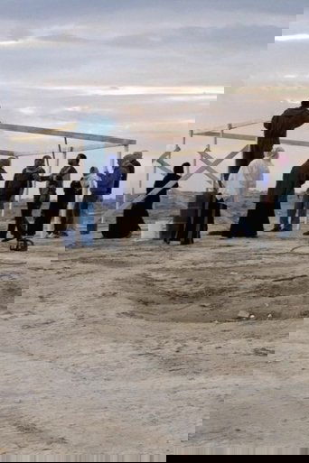 Destruction and Return in al-Araqib