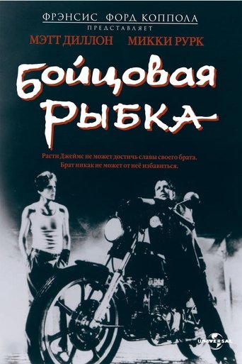 Бойцовая рыбка