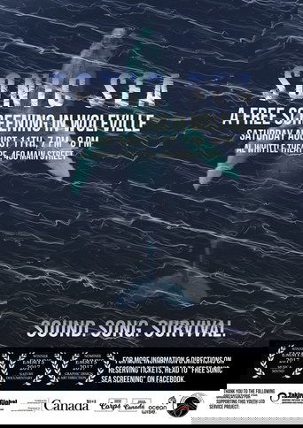 Sonic Sea