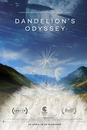 Dandelion's Odyssey