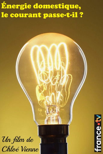 Energie domestique : le courant passe-t-il ?