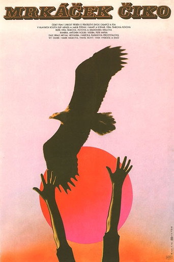 Poster of Mrkáček Čiko