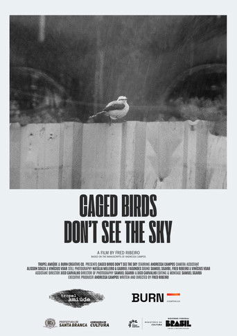 Pássaros Enjaulados Não Veem o Céu