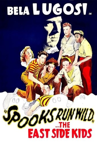 SPOOKS RUN WILD (DVD)