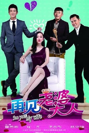 Poster of 再见老婆大人