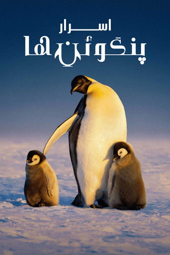 اسرار پنگوئن ها