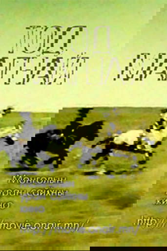 A Fast Horse