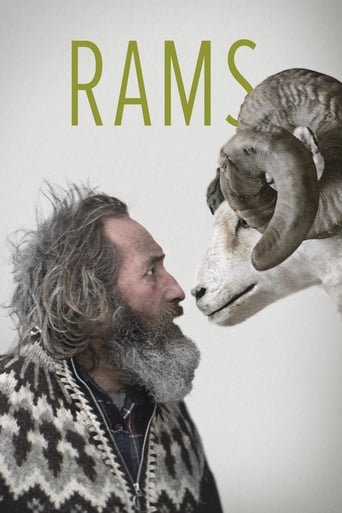 RAMS (2015) (ICELANDIC) (DVD)