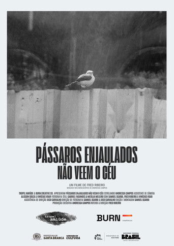 Pássaros Enjaulados Não Veem o Céu