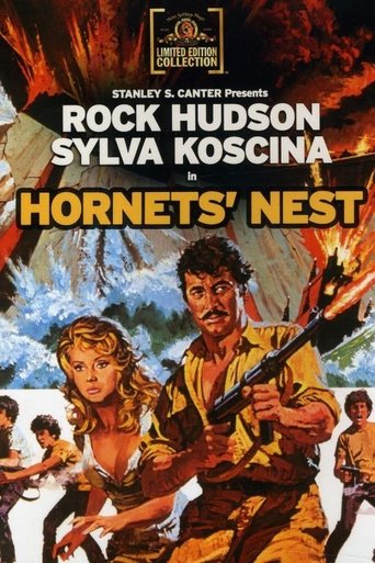 Hornets Nest 1970 - Articles - TCMcom