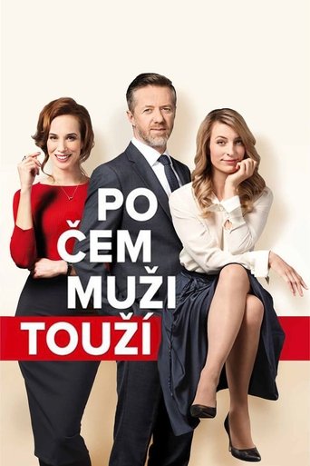 Po čem muži touží