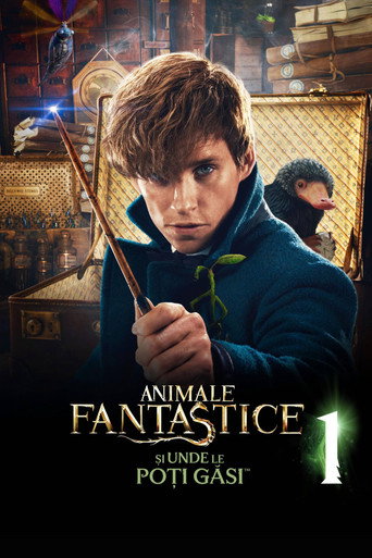 Animale fantastice și unde le poți găsi