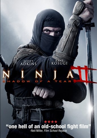 Ninja 2: Pomsta
