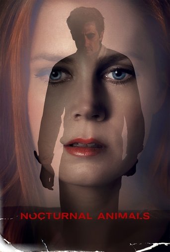 Image Nocturnal Animals