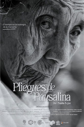Pliegues de Pausalina