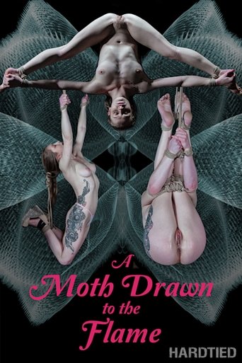 A Moth drawn to the Flame