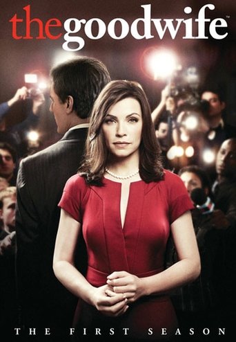 Geroji žmona / The Good Wife (2009) 1 Sezonas