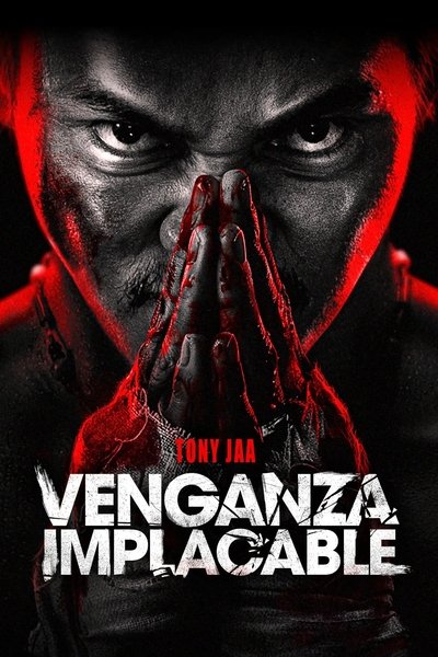 Venganza implacable (惊天大营救)