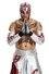 Rey Mysterio Jr.