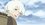Episode Thumbnail