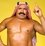 Iron Sheik