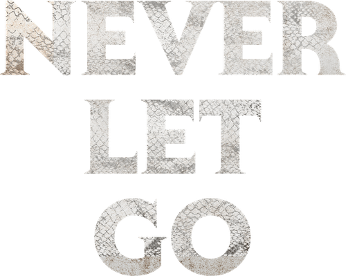 Never Let Go