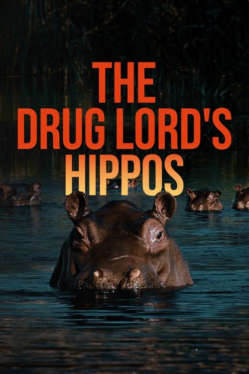 The Drug Lord's Hippos movie poster