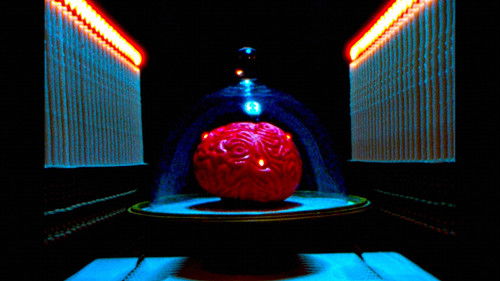 My Dead Wife's New Brain