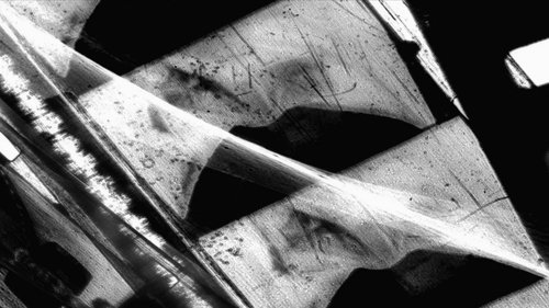 Window of the World Part 1: Hairstyle Colidascope