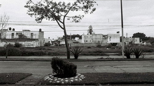 significantes, tres de cinco