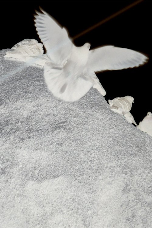 Despair to be Reborn
