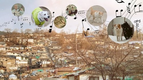 A Time for Dogs and Cats