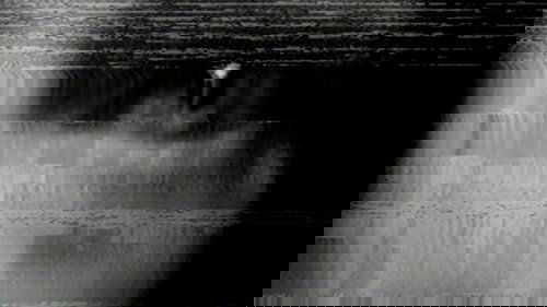 The Glitch